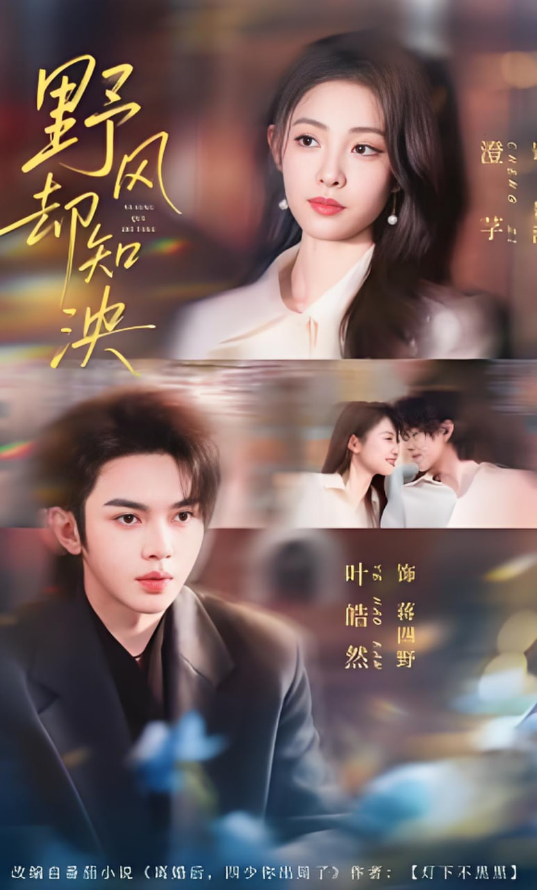 野风却知泱